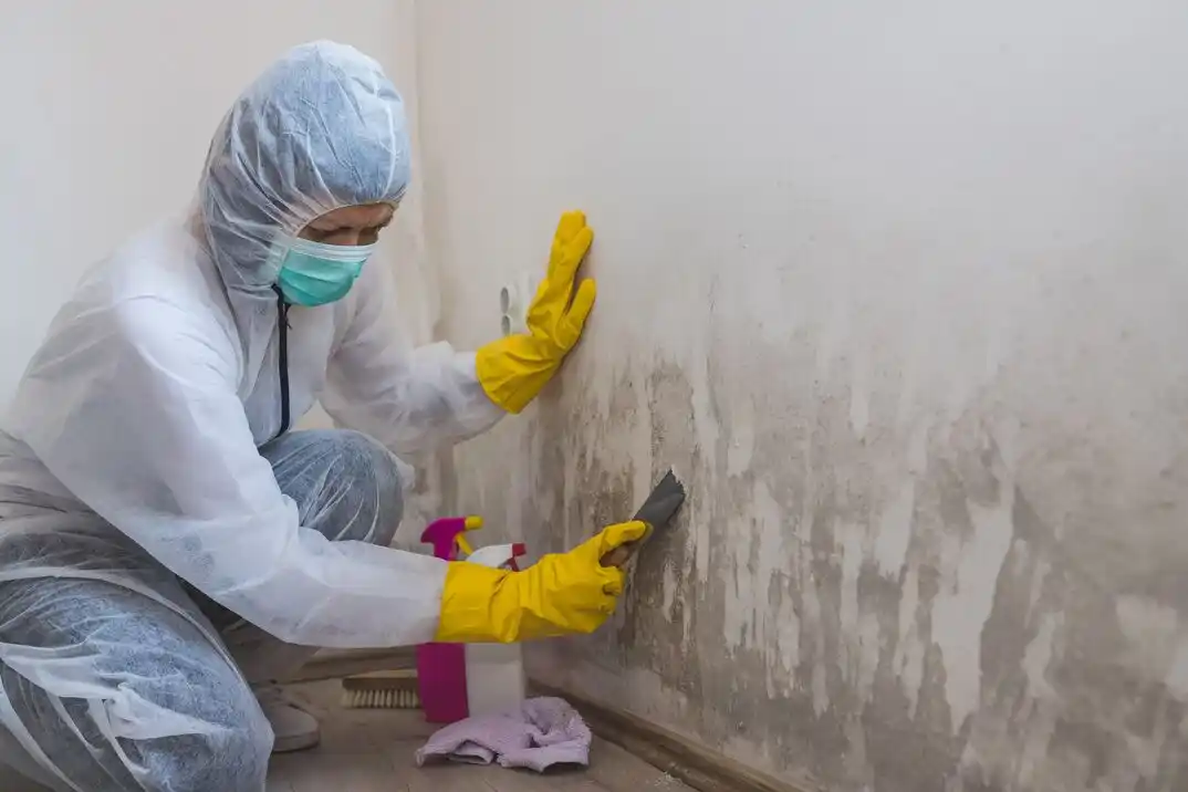 water damage restoration service Long View